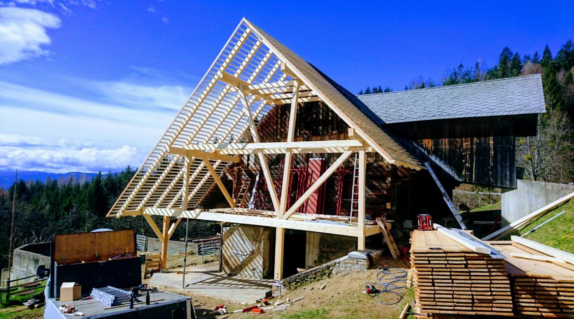 Dachstühle Zubau Umbau