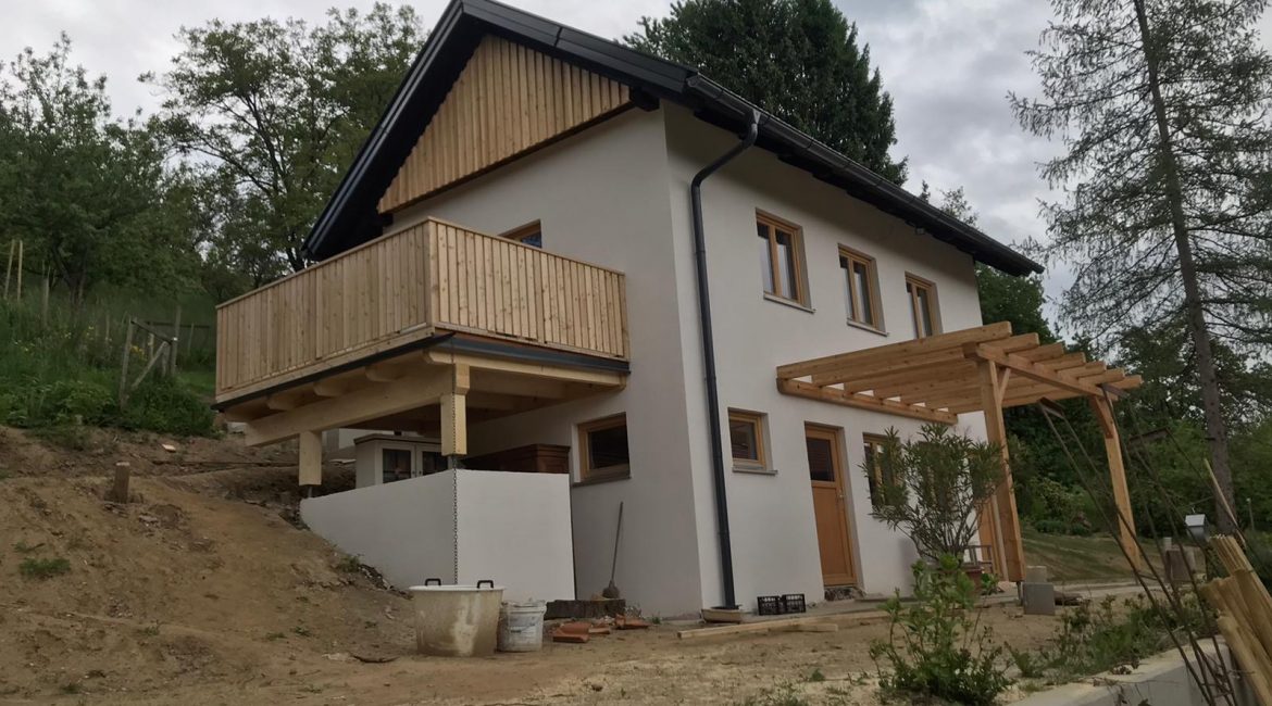 Giebelschalung Deckleiste, Eingangsüberdachung und Terrassenkonstruktion mit Geländer sib. Lärche